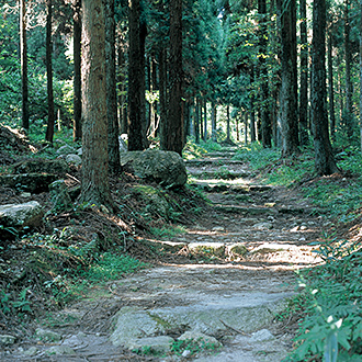 深坂古道