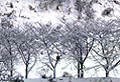 冬 -Winter-