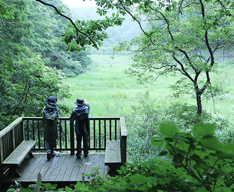 山門水源の森